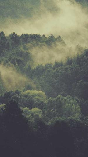 搜狗泛目录系统截图3