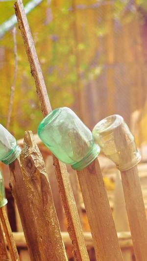 蜘蛛池没效果截图4