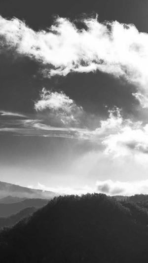 南昌seo关键词工具截图5