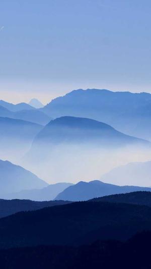 天津神马蜘蛛池租用截图2