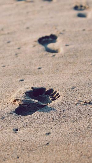 seo工具包价格截图5