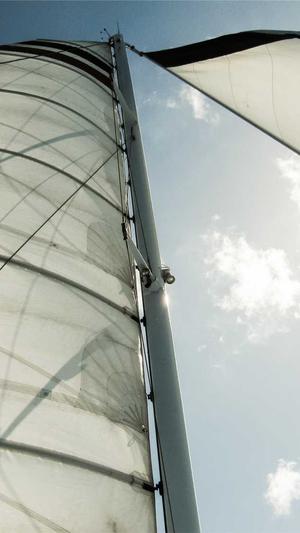 收录蜘蛛池截图3