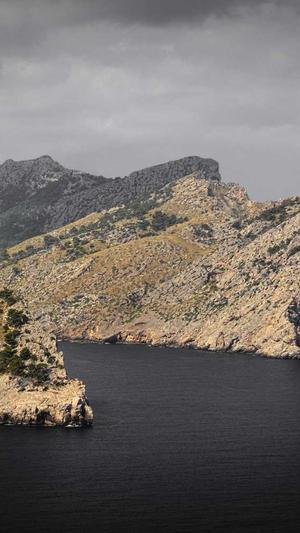 免费SEO工具截图1