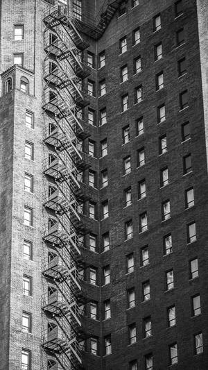 吉林蜘蛛池出租截图4