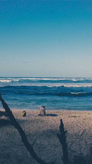 seo软件优化工具软件截图1