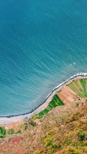 遵义seo优化截图1