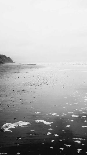 商洛网站建设截图5