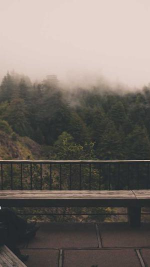 百度seo实用工具截图2