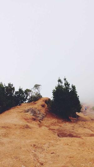 园区网站建设截图4