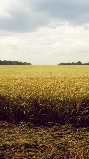 网站建设入门截图5