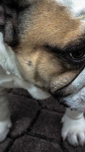 佛山网站seo截图4