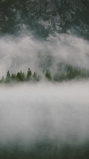 seo关键词排名工具 s截图3