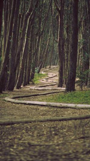 无锡seo整站优化截图1