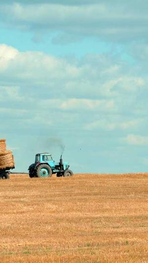 真实的蜘蛛池怎么进去截图3