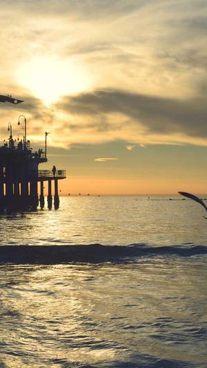 网站建设类截图2