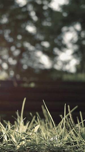 上海seo排名工具截图4