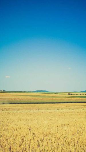 php单页泛目录站群截图1