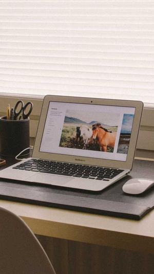 站长SEO工具截图4