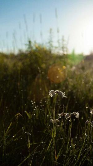 泛目录代做截图2