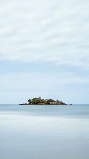 四川百度蜘蛛池租用截图2