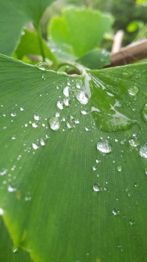 秒收录工具seo平台截图4