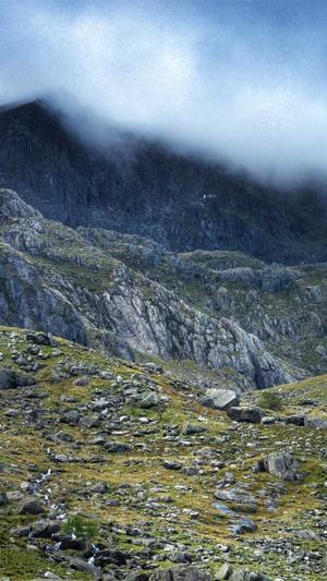 英文网站建设截图2