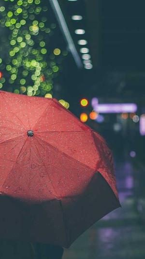 seo排名工具薇欣enuo6688截图1