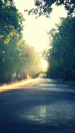 哈尔滨seo优化截图3