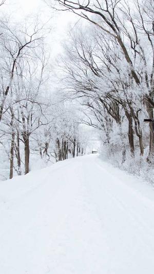 seo常用工具网站截图2