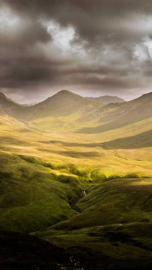 宁夏蜘蛛池租用包月截图2