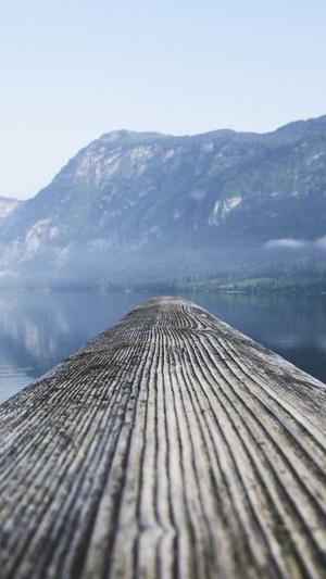 seo怎么优化首页泛目录截图3