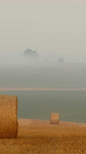 seo天天网络截图5