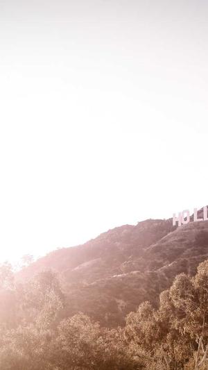 红河网站建设截图4