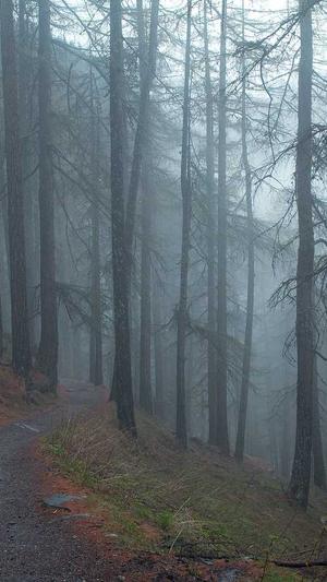 蜘蛛池一天多少蜘蛛截图4