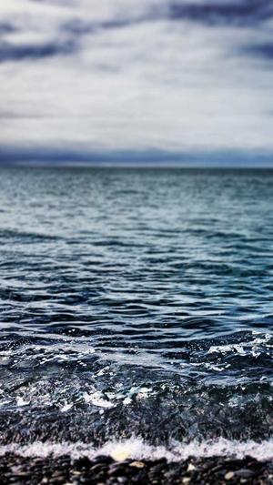 安装蜘蛛池教程视频截图3