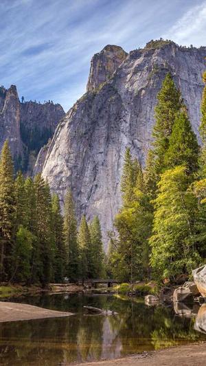 茂名seo优化截图2