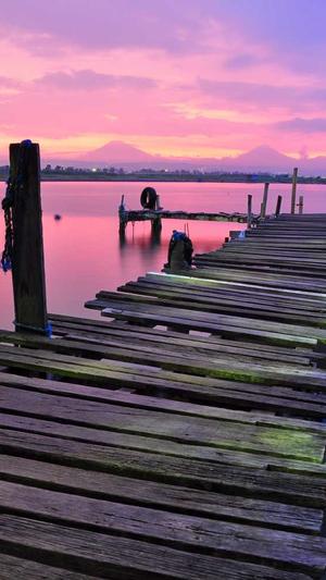 蜘蛛池怎么选择截图3