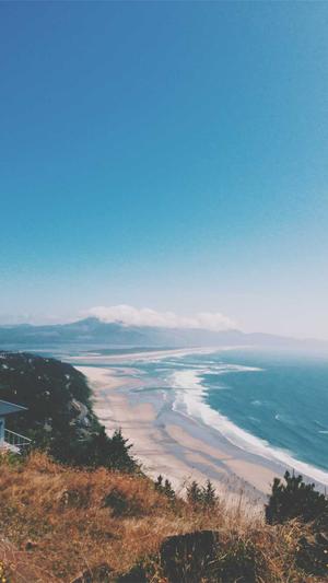 园区网站建设截图2