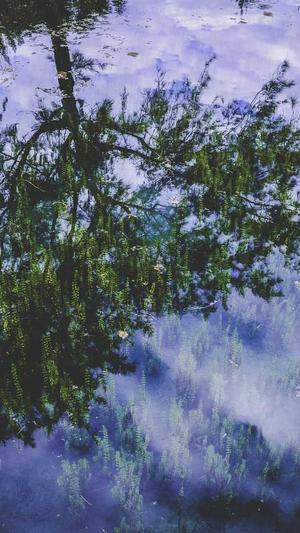 泛目录站群怎么解析截图1