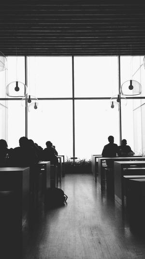 蜘蛛池的原理图解截图1