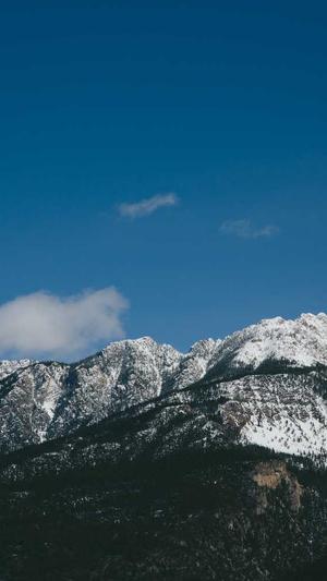 斗牛seo工具截图3