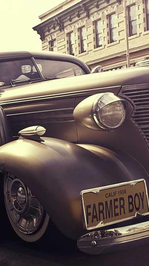 百度蜘蛛池怎么弄的截图1