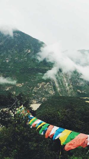 小熊猫蜘蛛池截图1