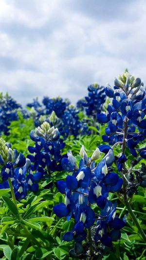 企业网站建设与推广方案实例截图3