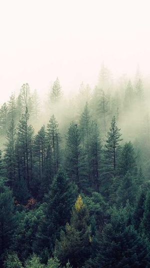 优秀网站建设截图4