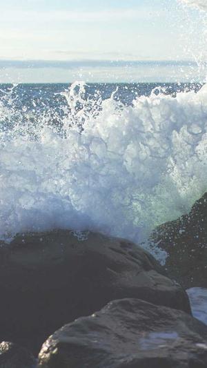 如何制作蜘蛛池视频截图4