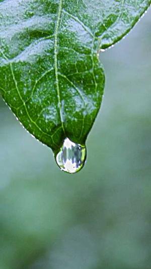 宝塔可以安装蜘蛛池截图4