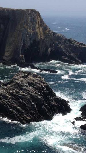 seo优化工具效果好软件排名截图1