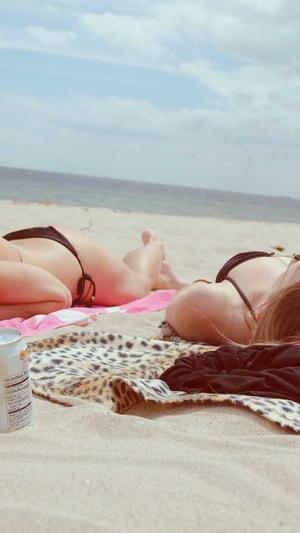 百度蜘蛛池怎么弄的截图3