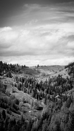 广东蜘蛛池租用包月截图1